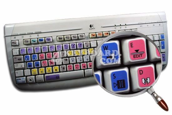 Canopus Edius keyboard sticker  